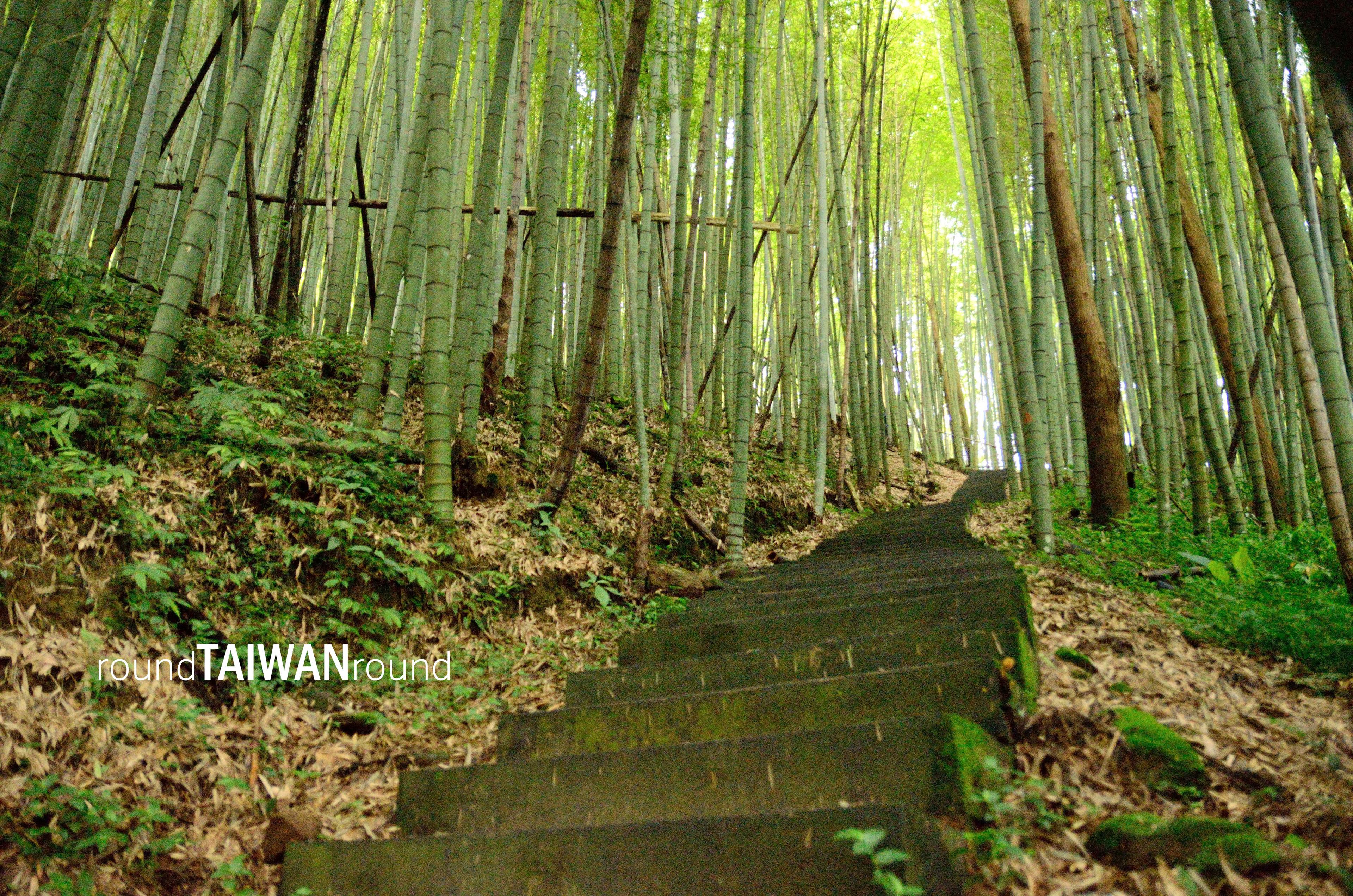 Fenqihu_Forest_Trail__________-005.jpg