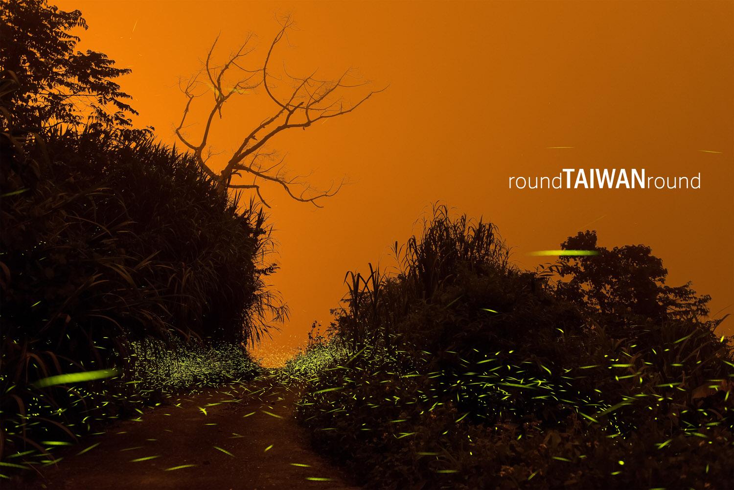 https://cdn.rtaiwanr.com/uploads/images/cover_image/725/Fireflies.jpg