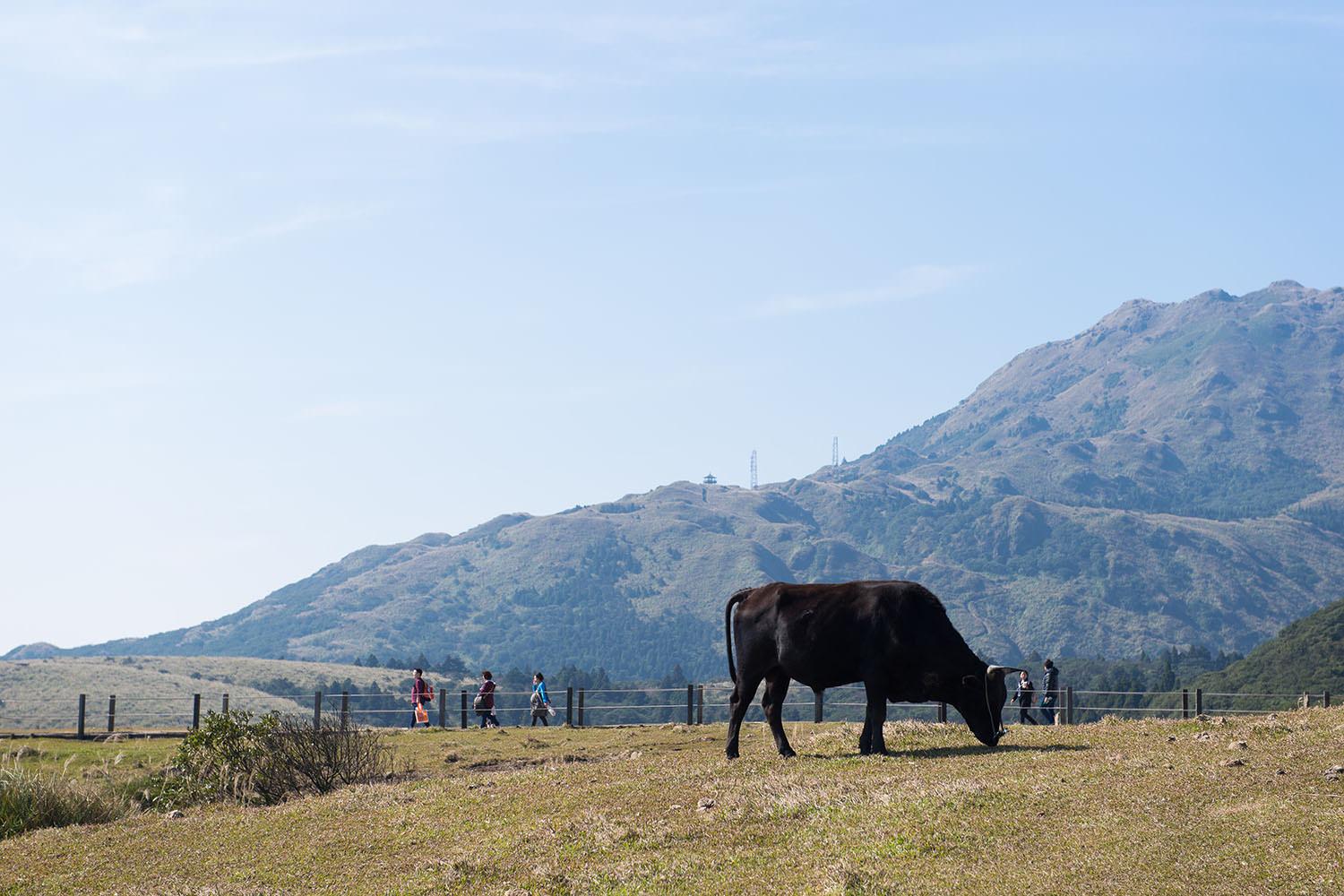 Yangmingshan